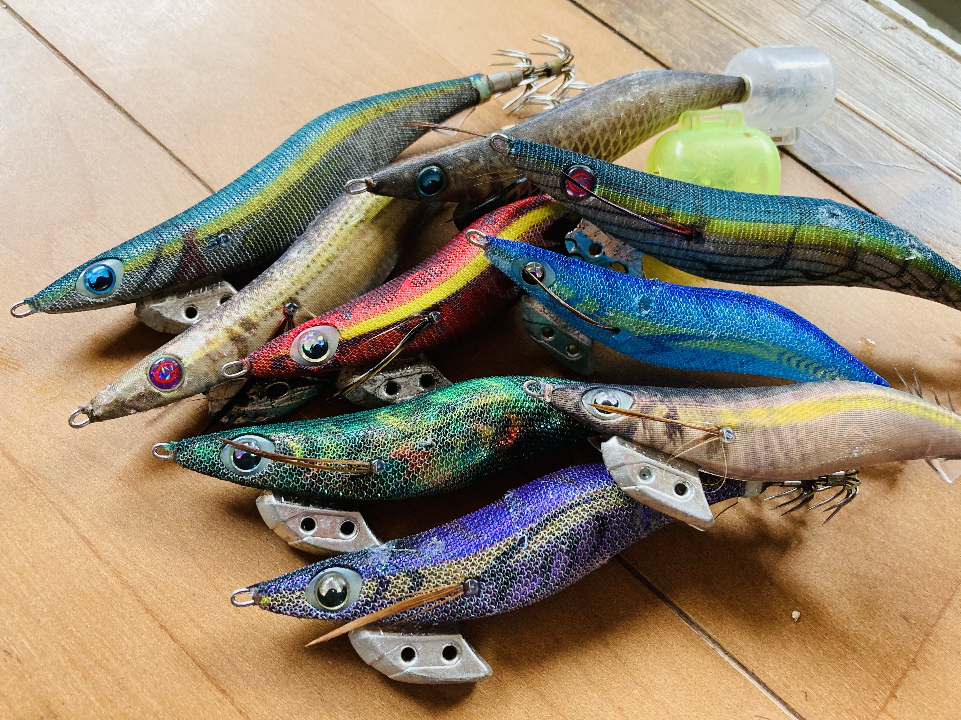 【3月エギング】3月一発目の激熱エギング！長崎県