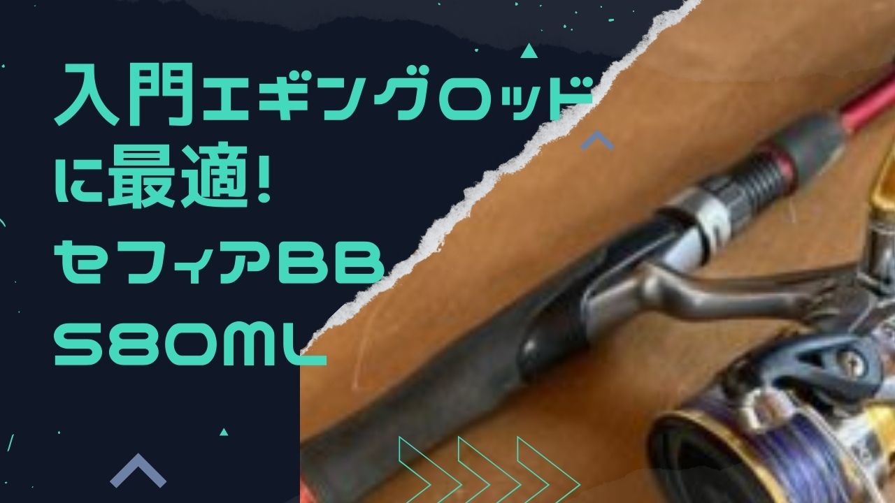 入門エギングロッドに最適！セフィアBB S80MLレビューまとめ【シマノ 