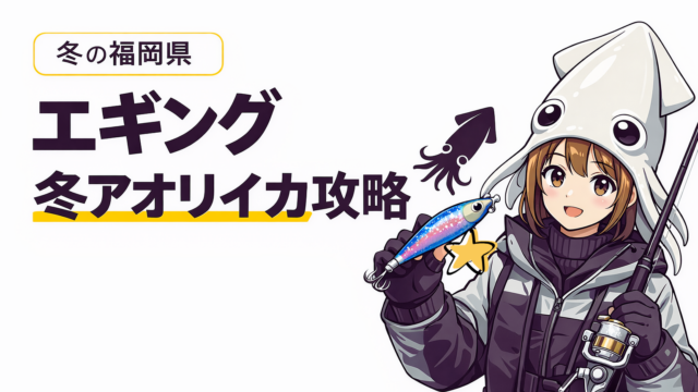冬の福岡エギング